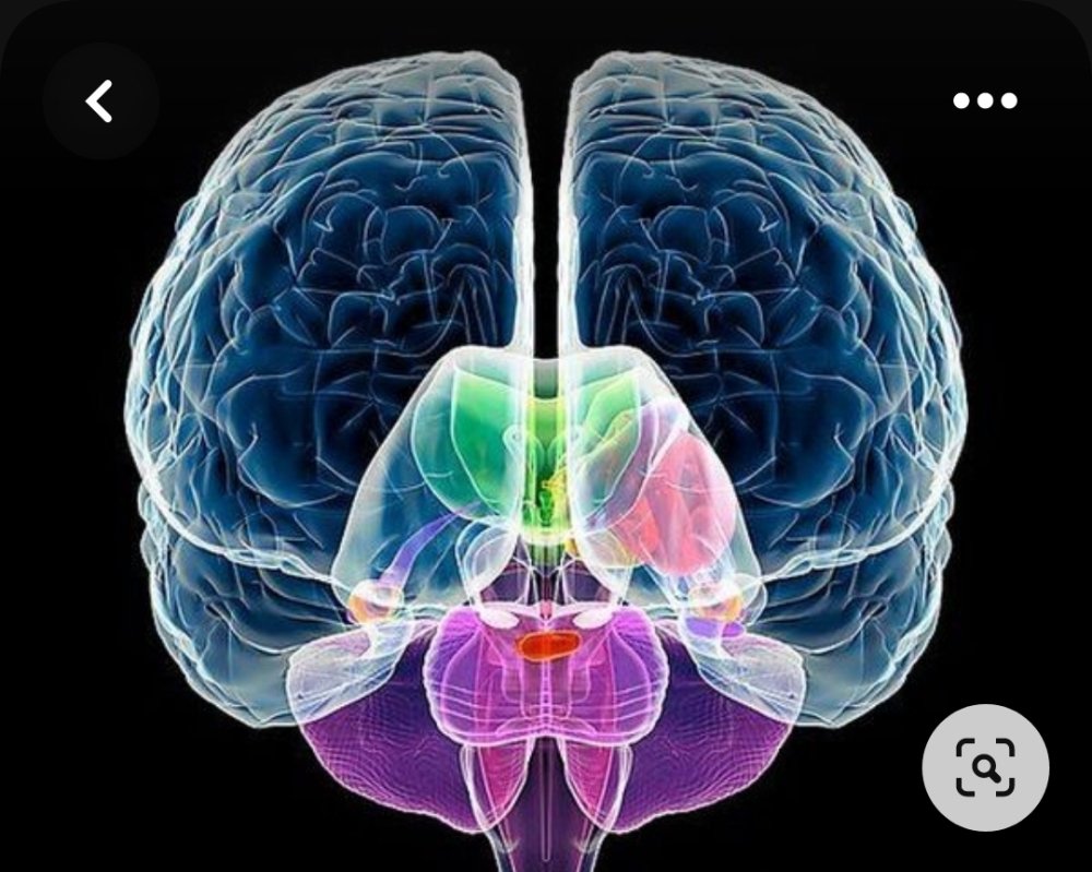 Screenshot_20230713-200946_Pinterest.thumb.jpg.fb5fbe40ac23bb394960f388eb9ca7a5.jpg