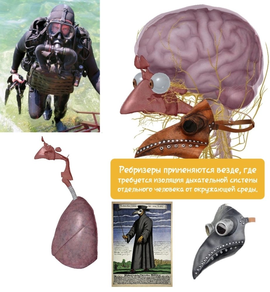 Screenshot_20231229-103813_Sketchbook.thumb.jpg.163d98537261cbe3565f86d5087bc71b.jpg