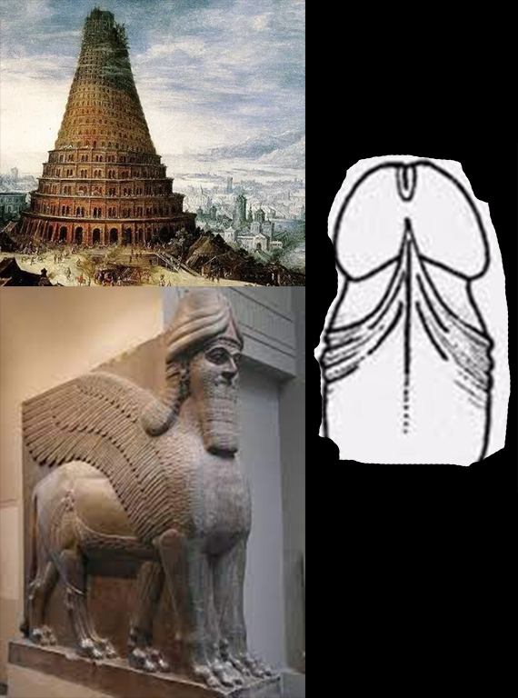 Untitled-1.png.d2e0c6feaf8128666af5e94be8a1a08c.png