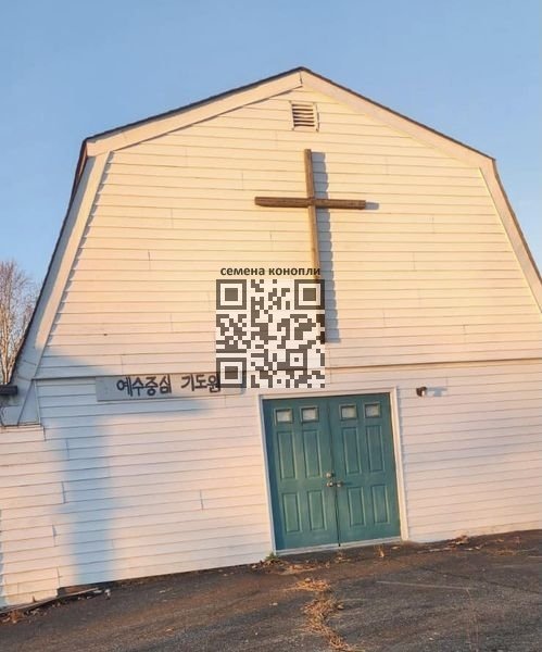 cannabis-church-grow.jpg