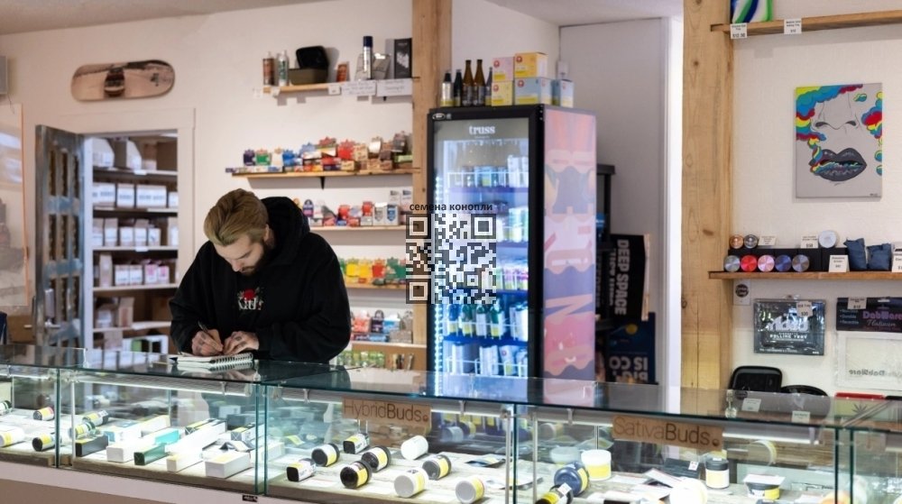 cannabis-dispensary-canada.jpg