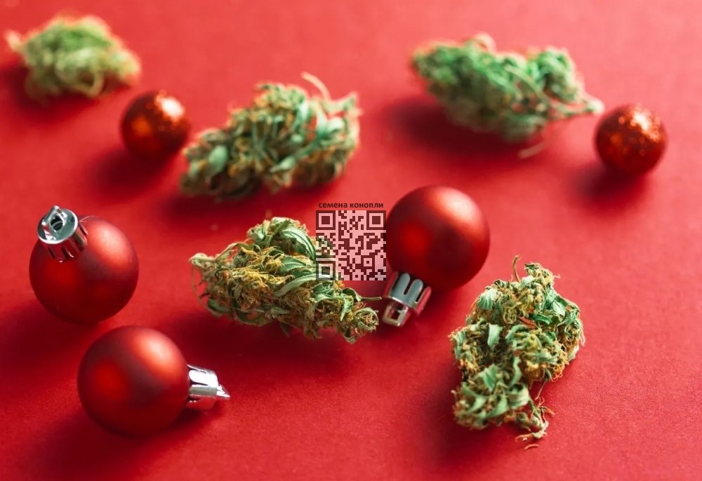 cannabis-holiday.jpg