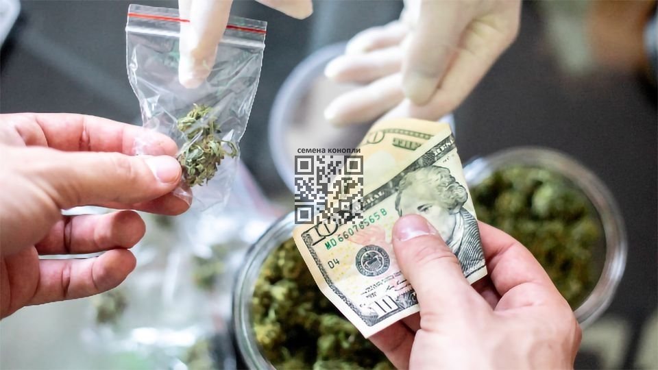 cannabis-sale.jpg