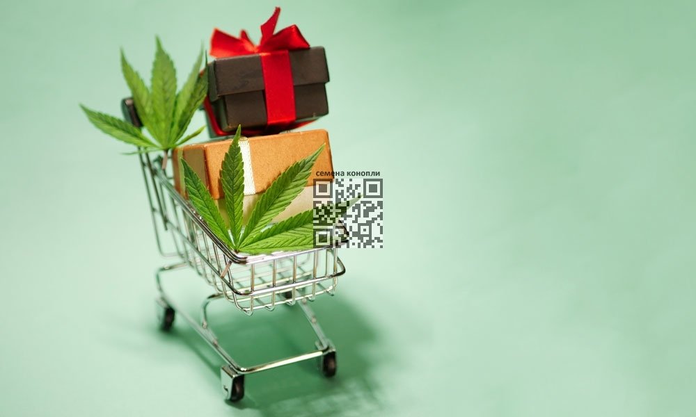 cannabis-shop-cart.jpg
