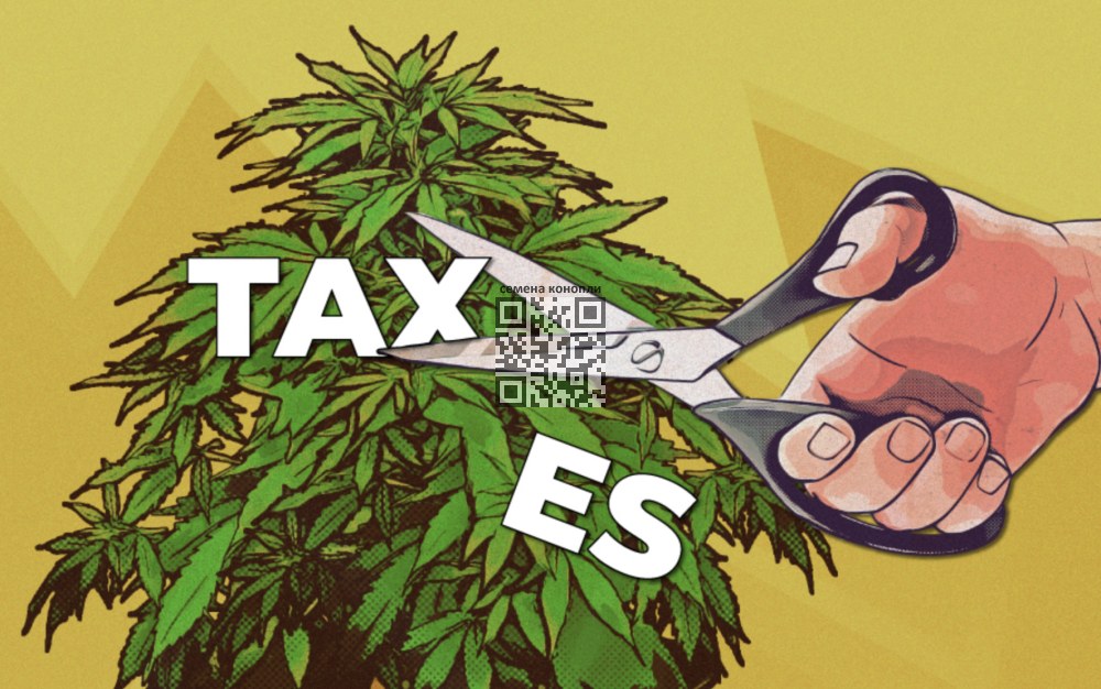 cannabis-taxes.png