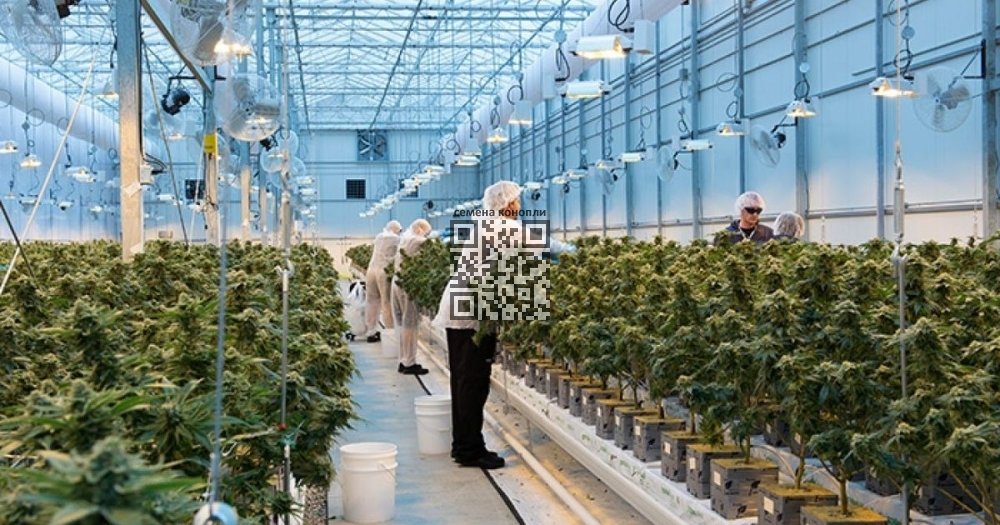 celadon-pharmaceuticals-farm.jpg