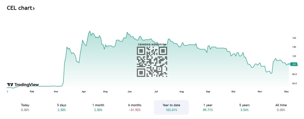 celadon-stock-price-change.jpg