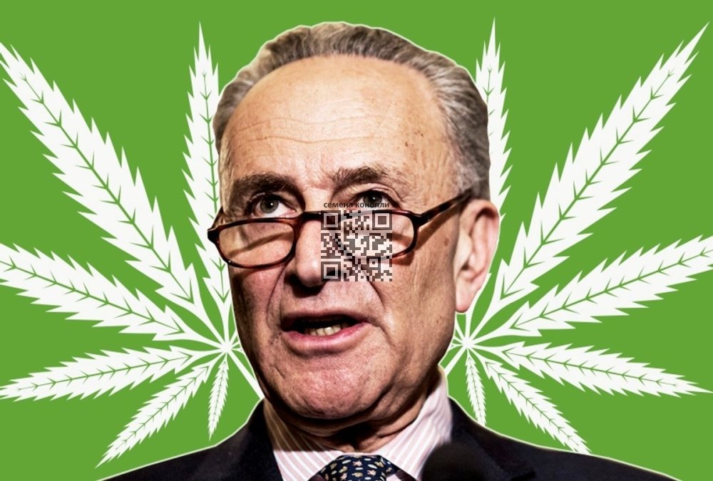chuck-schumer-weed.jpeg
