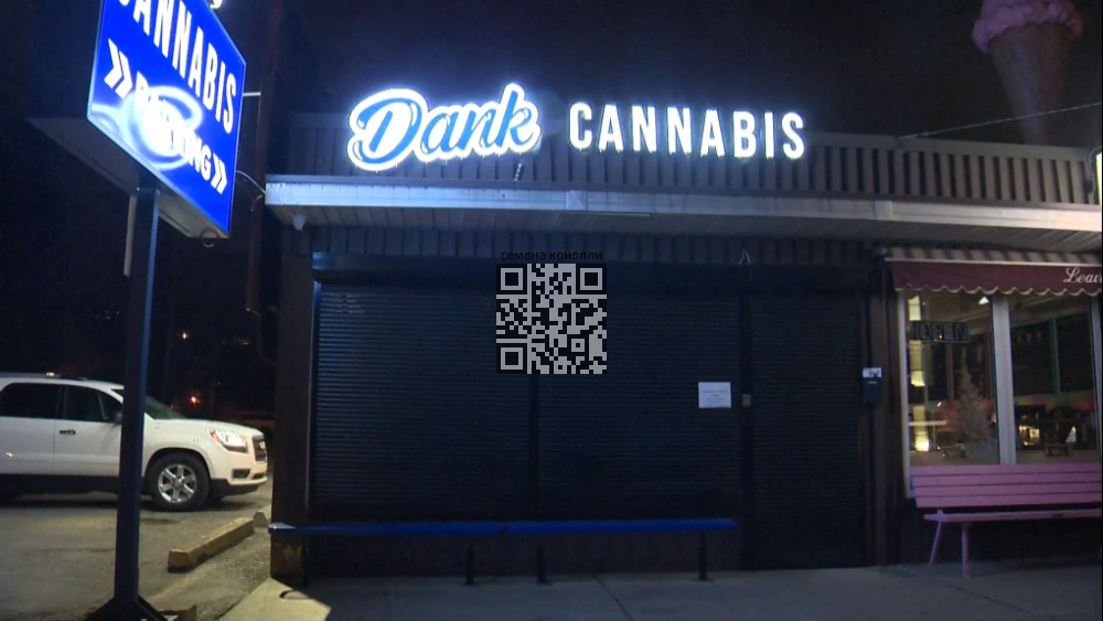 dank-cannabis-robbed.png