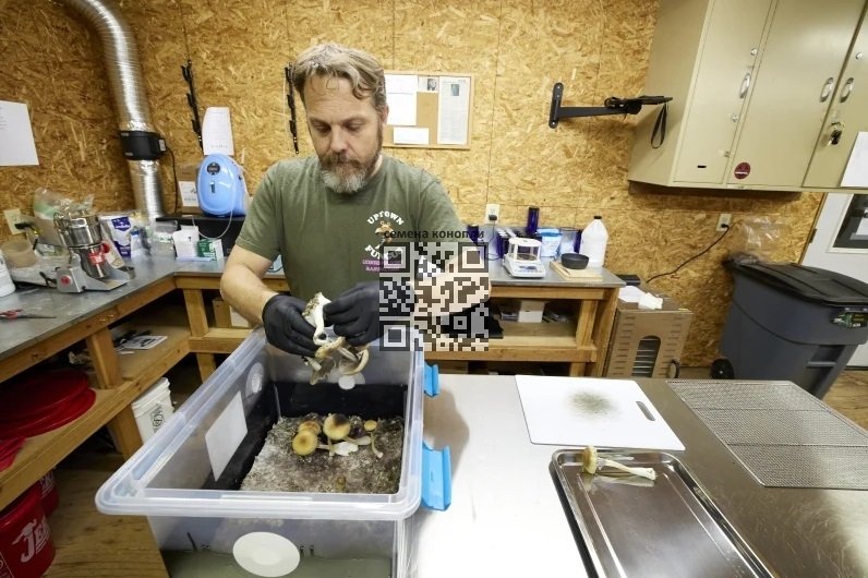gared-hansen-mushrooms-grower.jpg