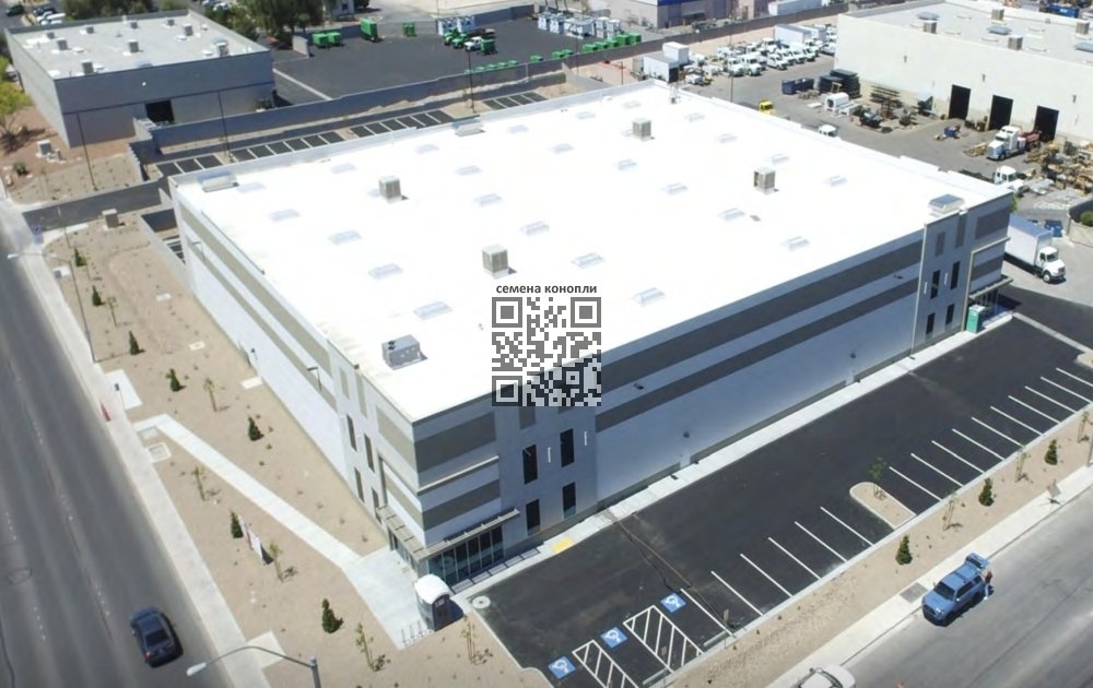 gvb-plant.jpg