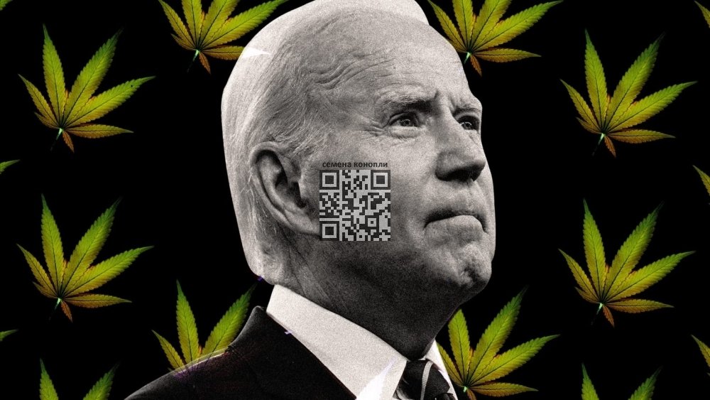 joe-biden-cannabis.jpg