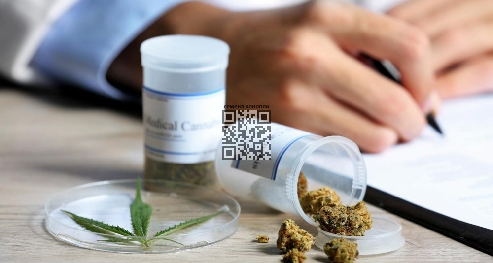 medcan-doctor.jpg
