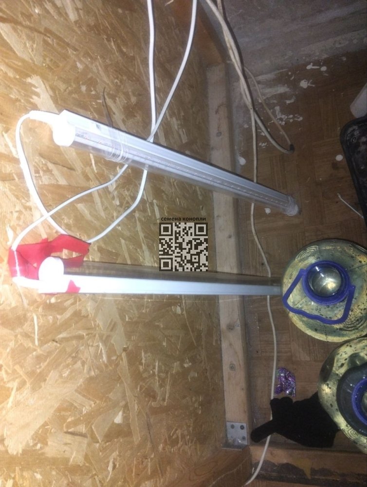 msg2013908035-101667.thumb.jpg.38c9c2c73d55ddf012631fdeb75e259d.jpg