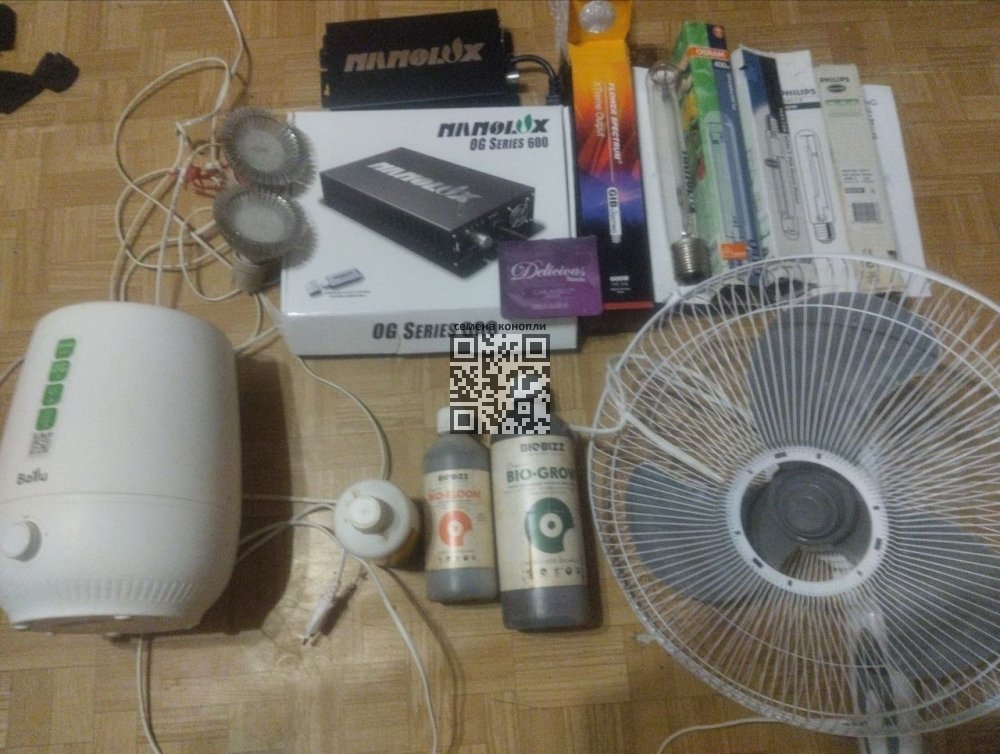 msg2013908035-101669.thumb.jpg.9591733241e86a1f9eef629da6221139.jpg