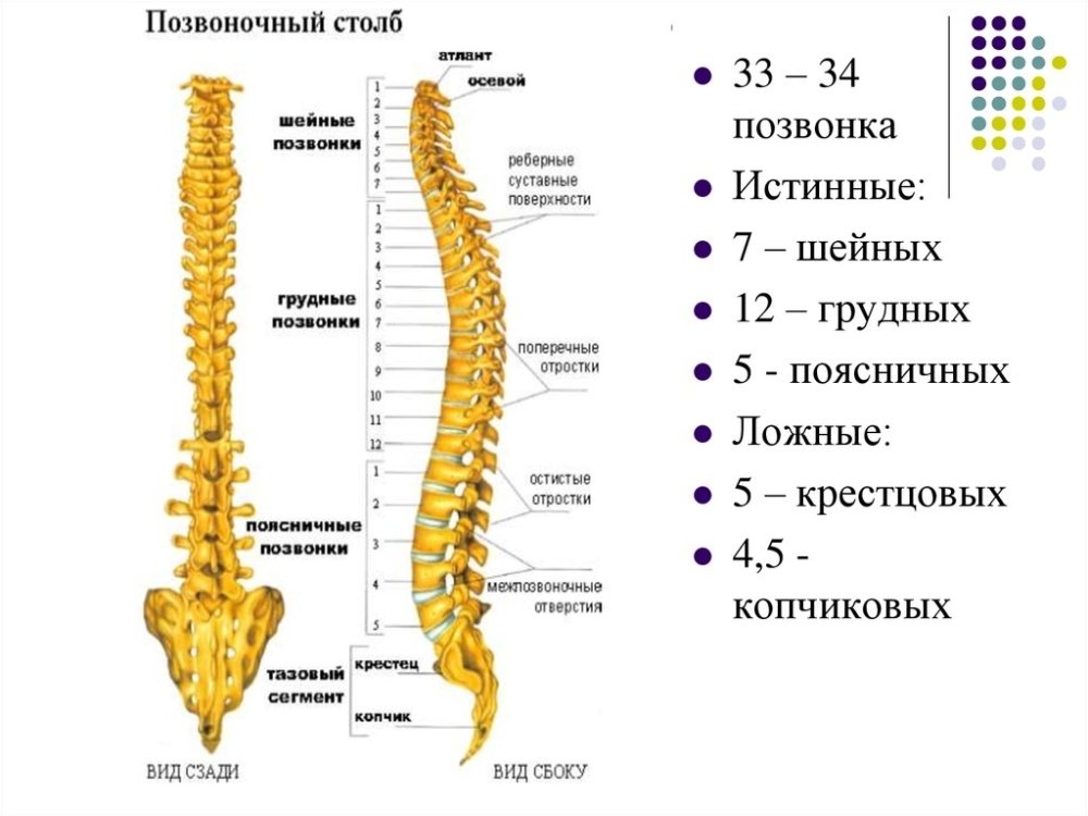 slide-16.thumb.jpg.fcd1b10b89a61fa4c102951af6d76a3c.jpg