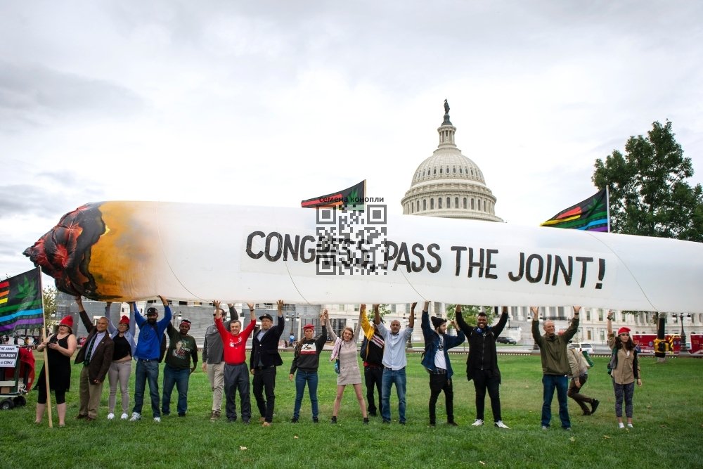 us-cannabis-activists.jpg