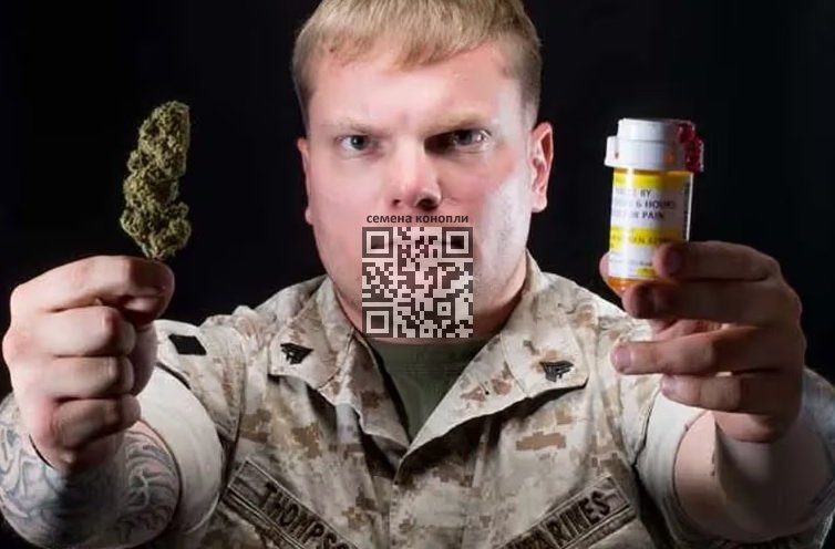 veteran-cannabis.jpg