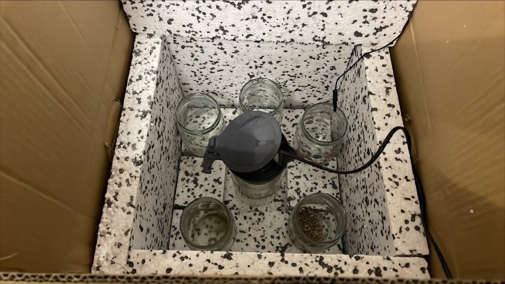 box.jpg