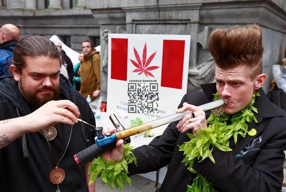 canada-cannabis-users.jpg