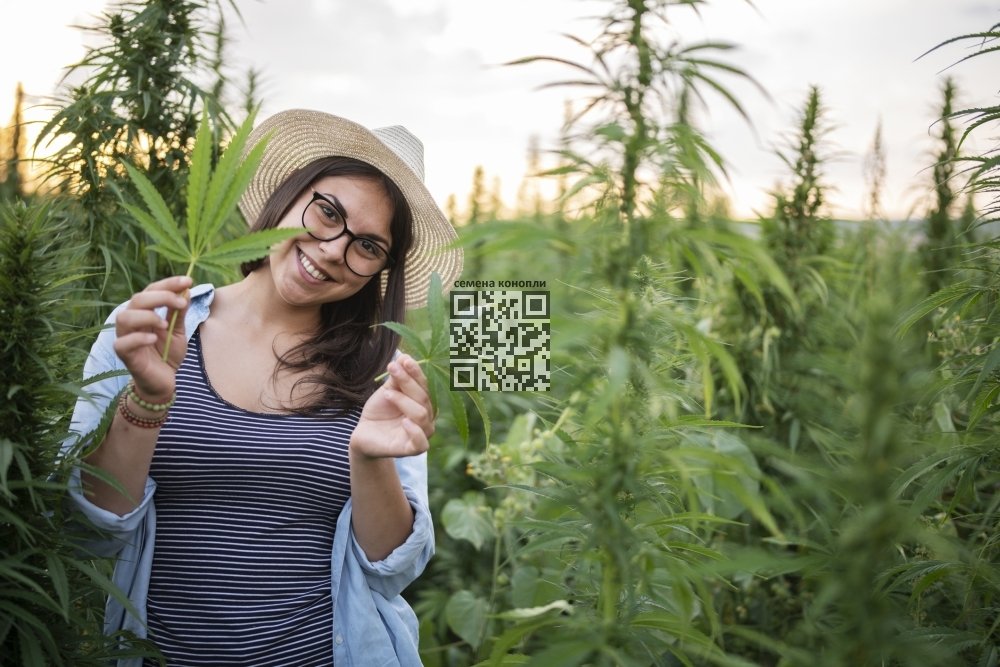cannabis-happy.jpg