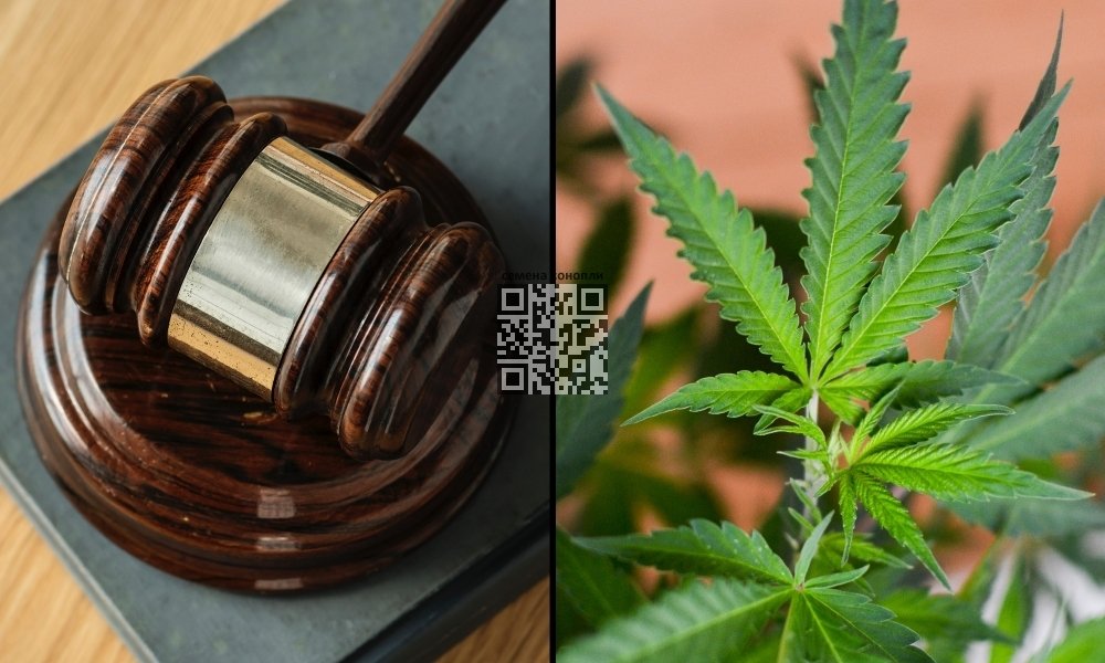 cannabis-reclassification.jpg