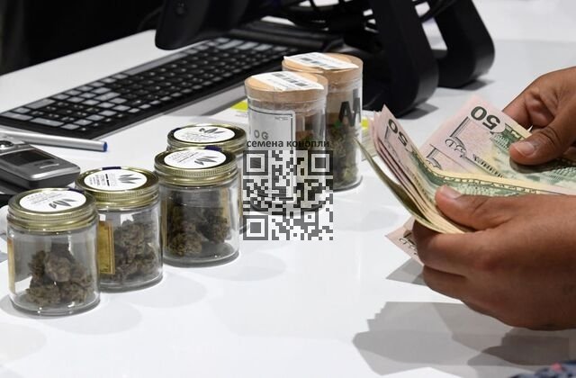 cannabis-sale-money.jpg
