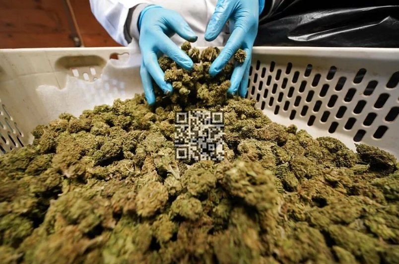 cannabis-sale.jpg