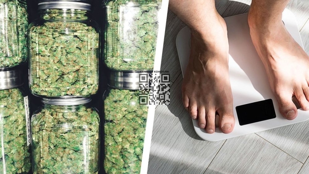 cannabis-weight-gain.jpg