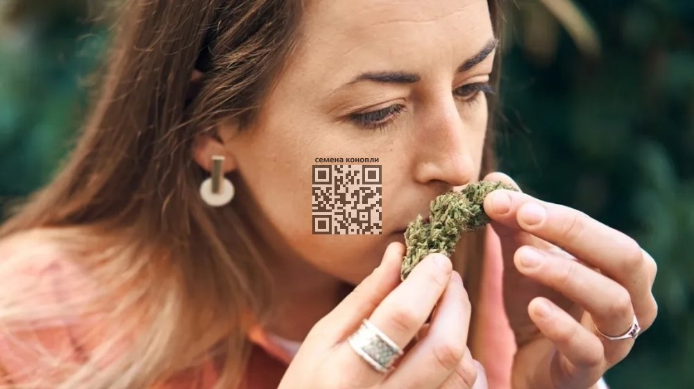 cannabis-woman.jpg