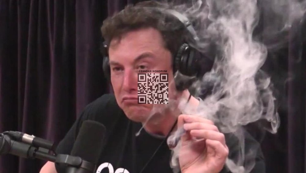 elon-musk-smoke-joint.jpg