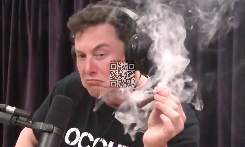 elon-musk-smokes-joint.jpg