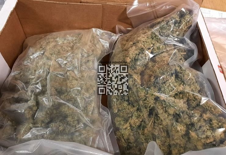 marijuana-smuggle.jpg