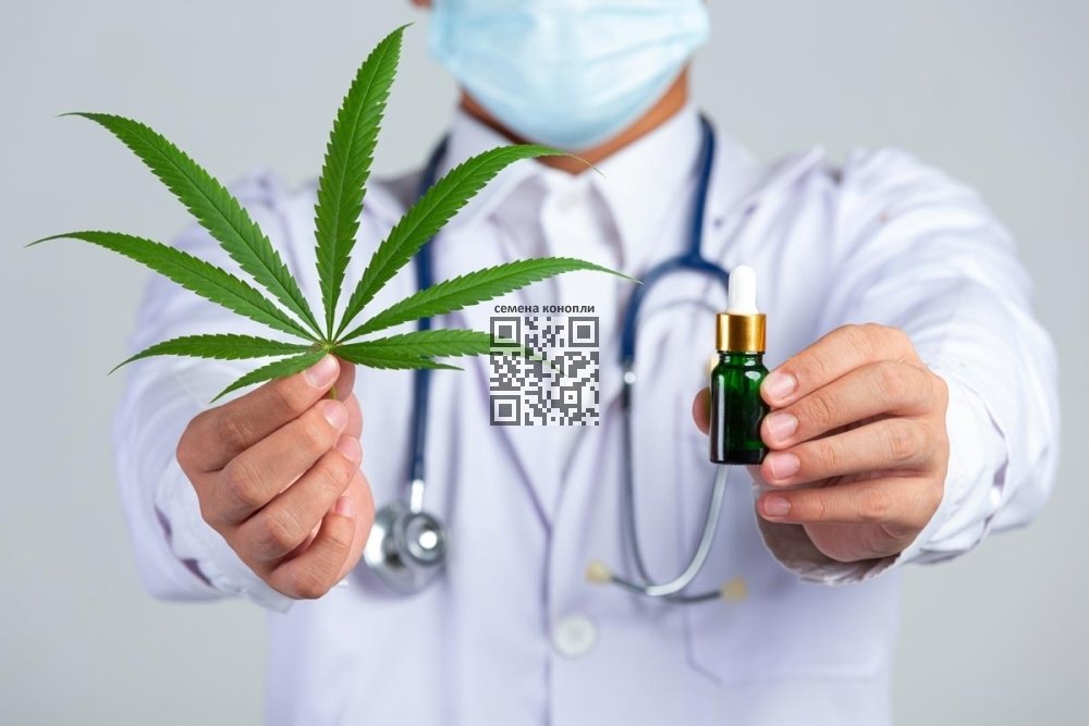 medical-cannabis.jpg