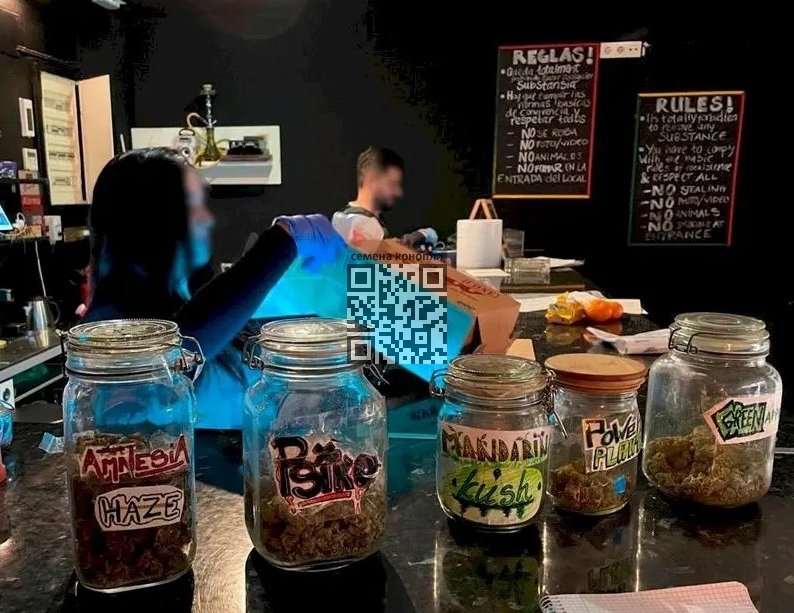 spanish-cannabis-club.jpg