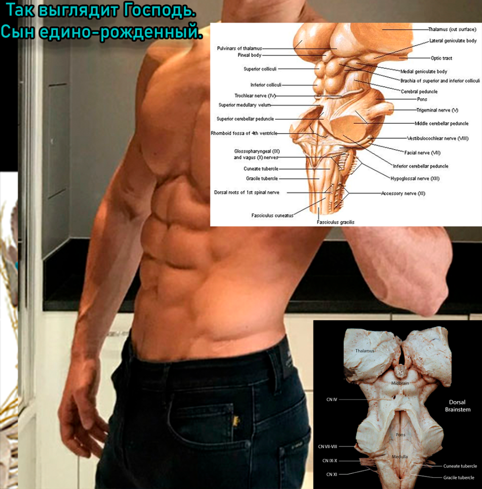 -1.thumb.png.bb54ea7bb9319d770bc878b7b3fcb73d.png