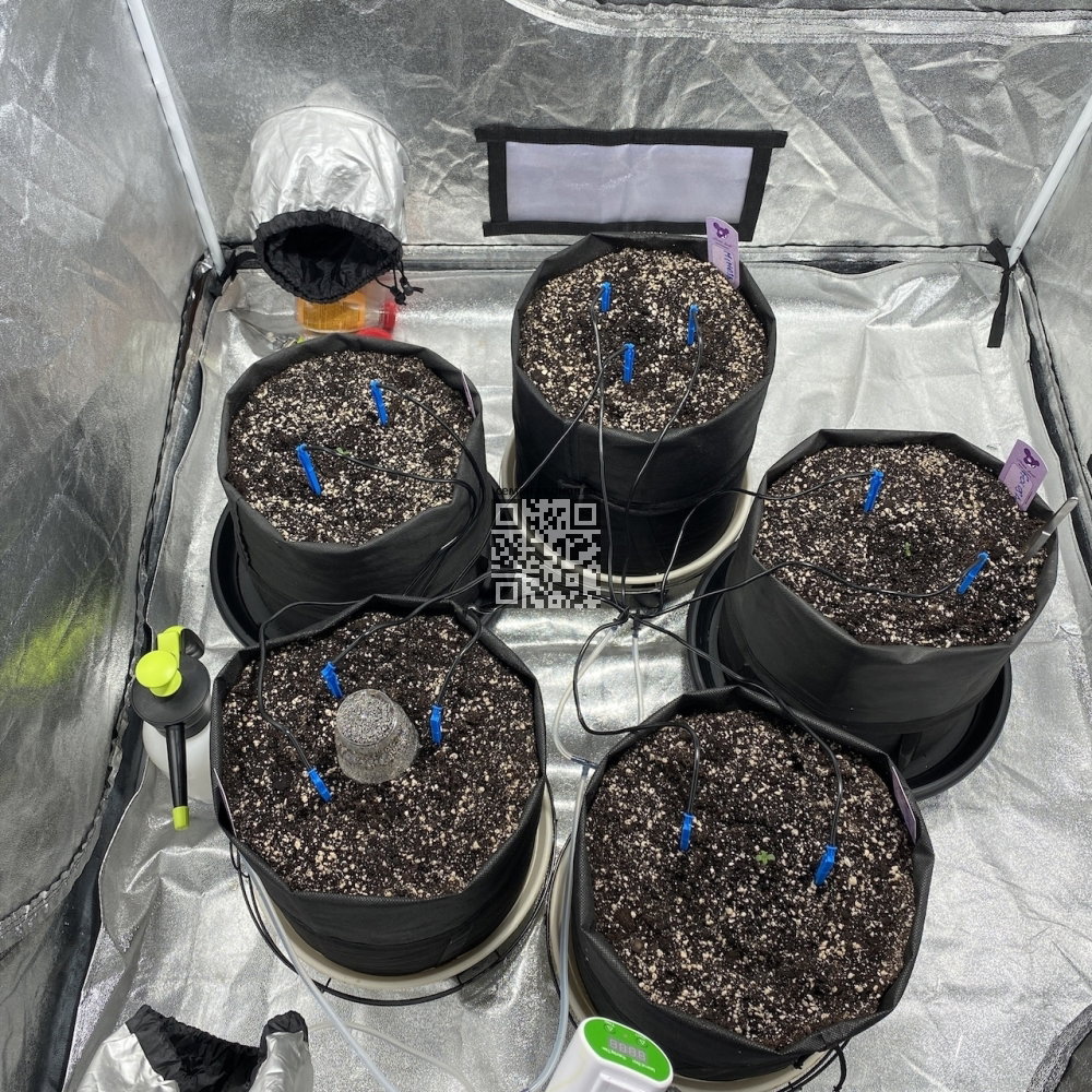 DB6.thumb.JPEG.b19b0ee6293acc810a92e48d0b5670f8.JPEG