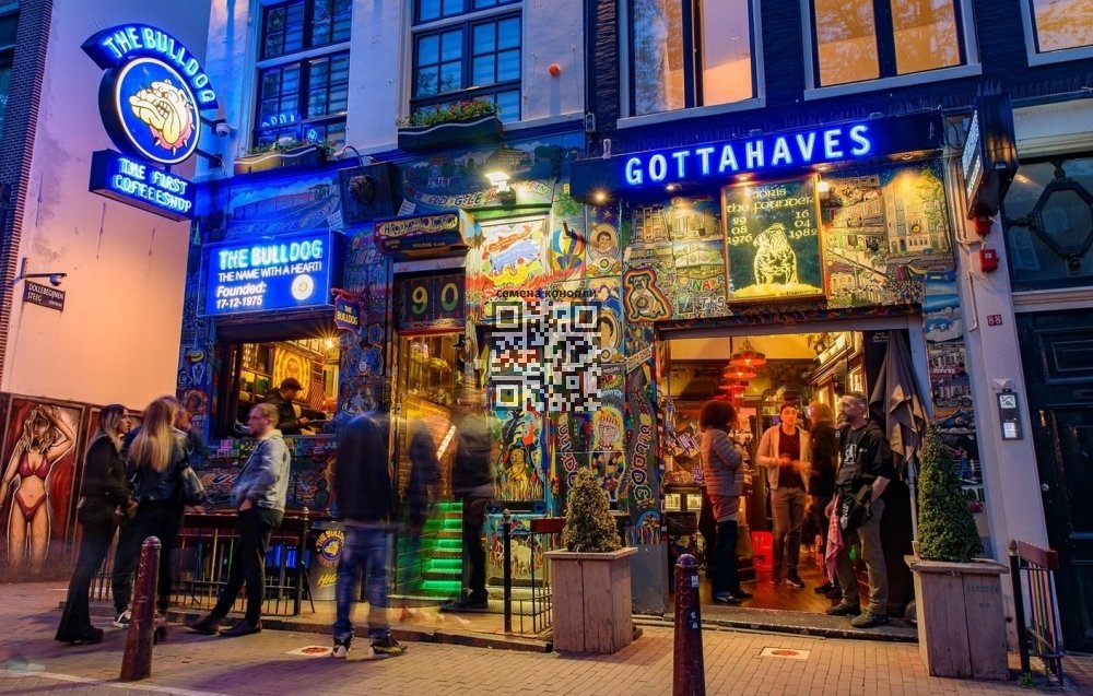 cannabis-coffee-shop-netherlands.jpg