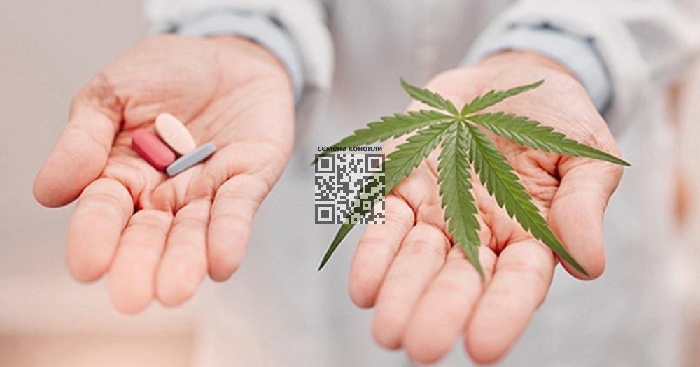 cannabis-for-pain.jpg