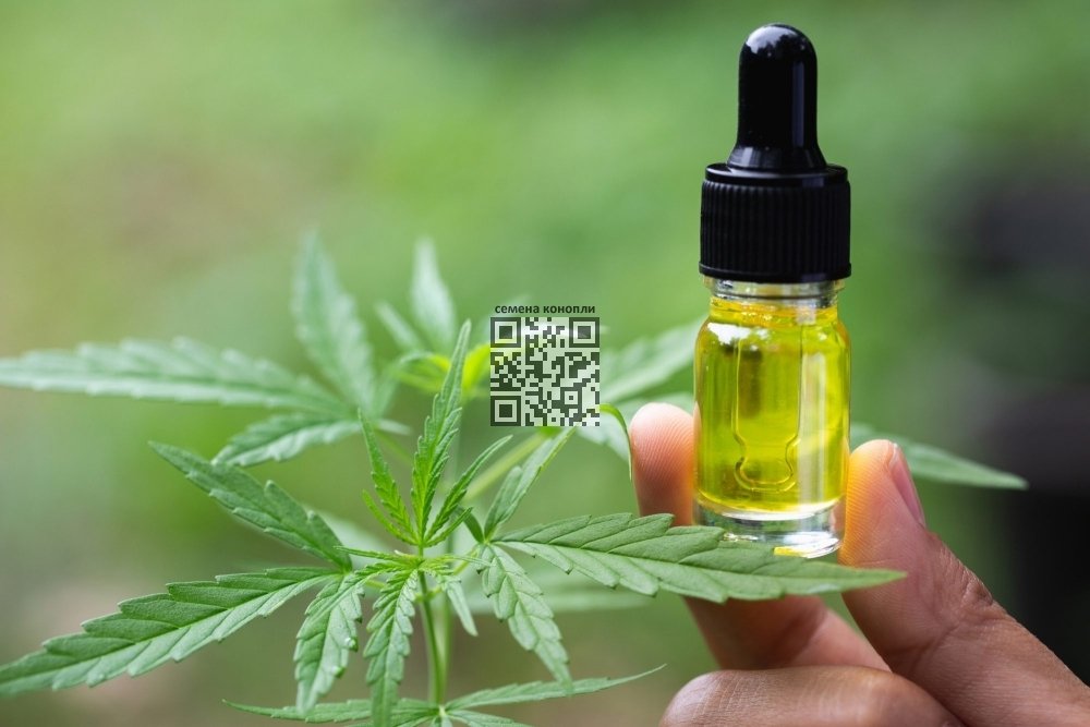 cannabis-oil.jpg