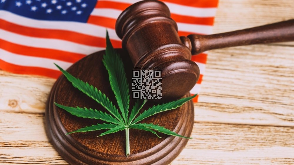 cannabis-reclassification.jpg