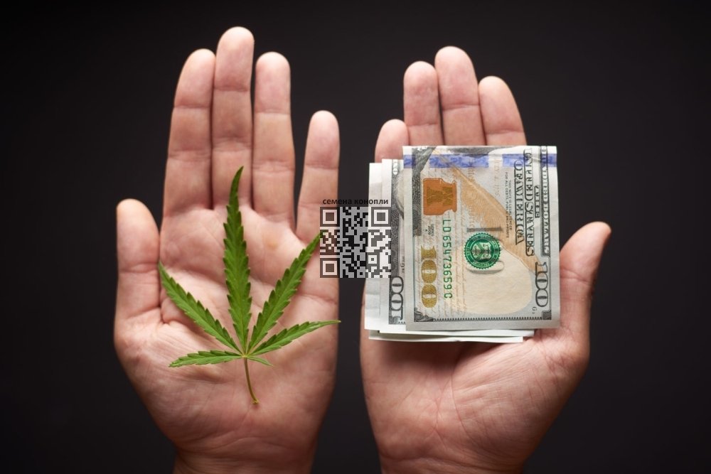 cannabis-taxes.jpg