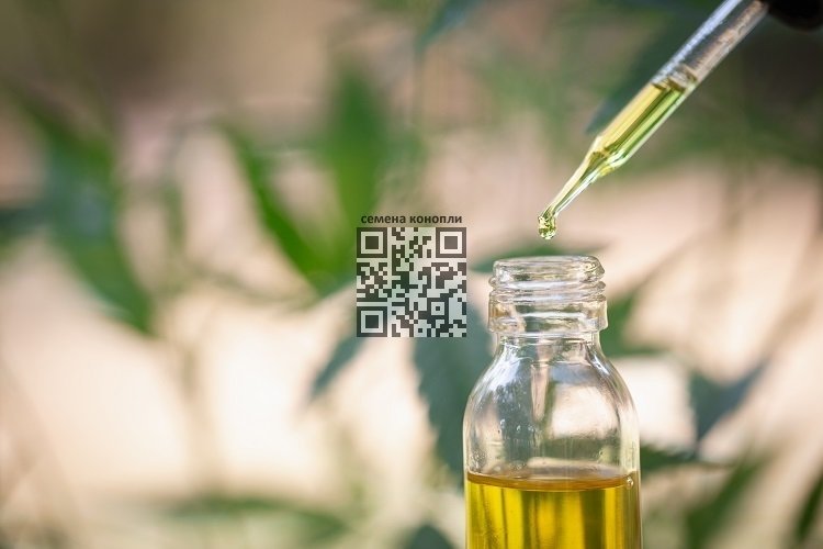 cbd-oil.jpg