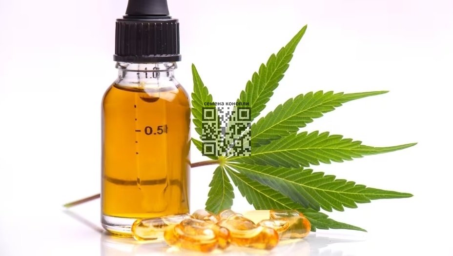 cbd-oil.jpg
