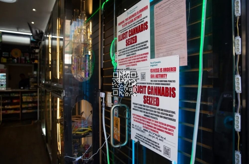 closed-cannabis-shop-new-york.jpg