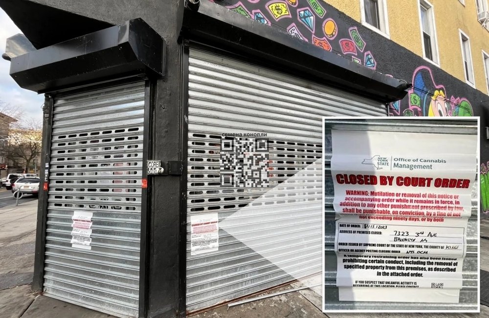 closed-illicit-cannabis-dispensary-new-york.jpg