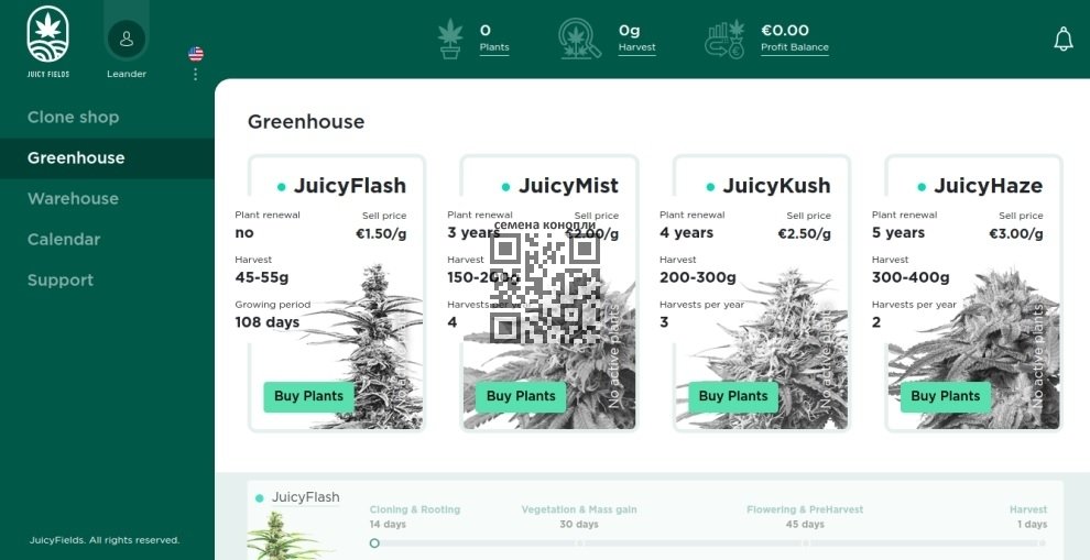 jiucyfields-cannabis-plants.jpg