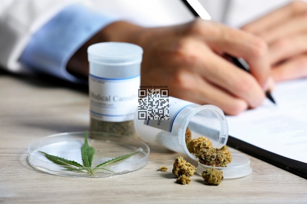 medical-cannabis.jpg