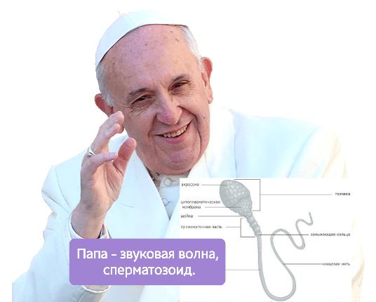 pope@2x.png.5e58867b612a3d74f007f5793f28d27f.png