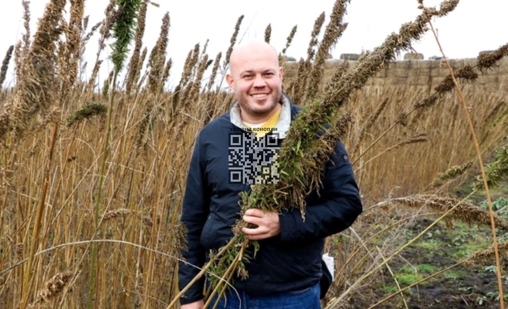 uvarov-nvk-hemp.jpg